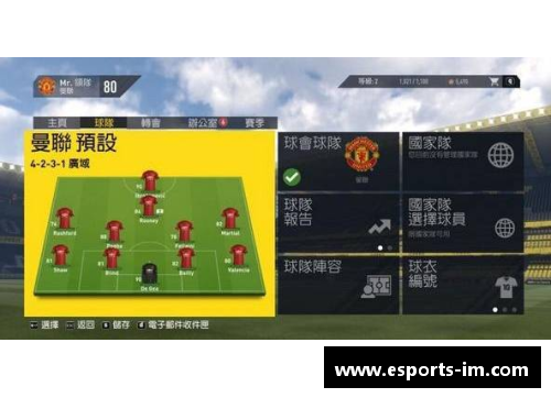 全方位解析：职业足球球员的生涯轨迹与成就探究