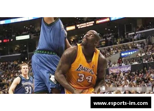 NBA球场三秒区：中心之争与篮下战局