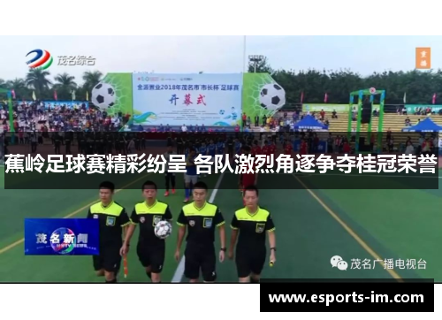蕉岭足球赛精彩纷呈 各队激烈角逐争夺桂冠荣誉